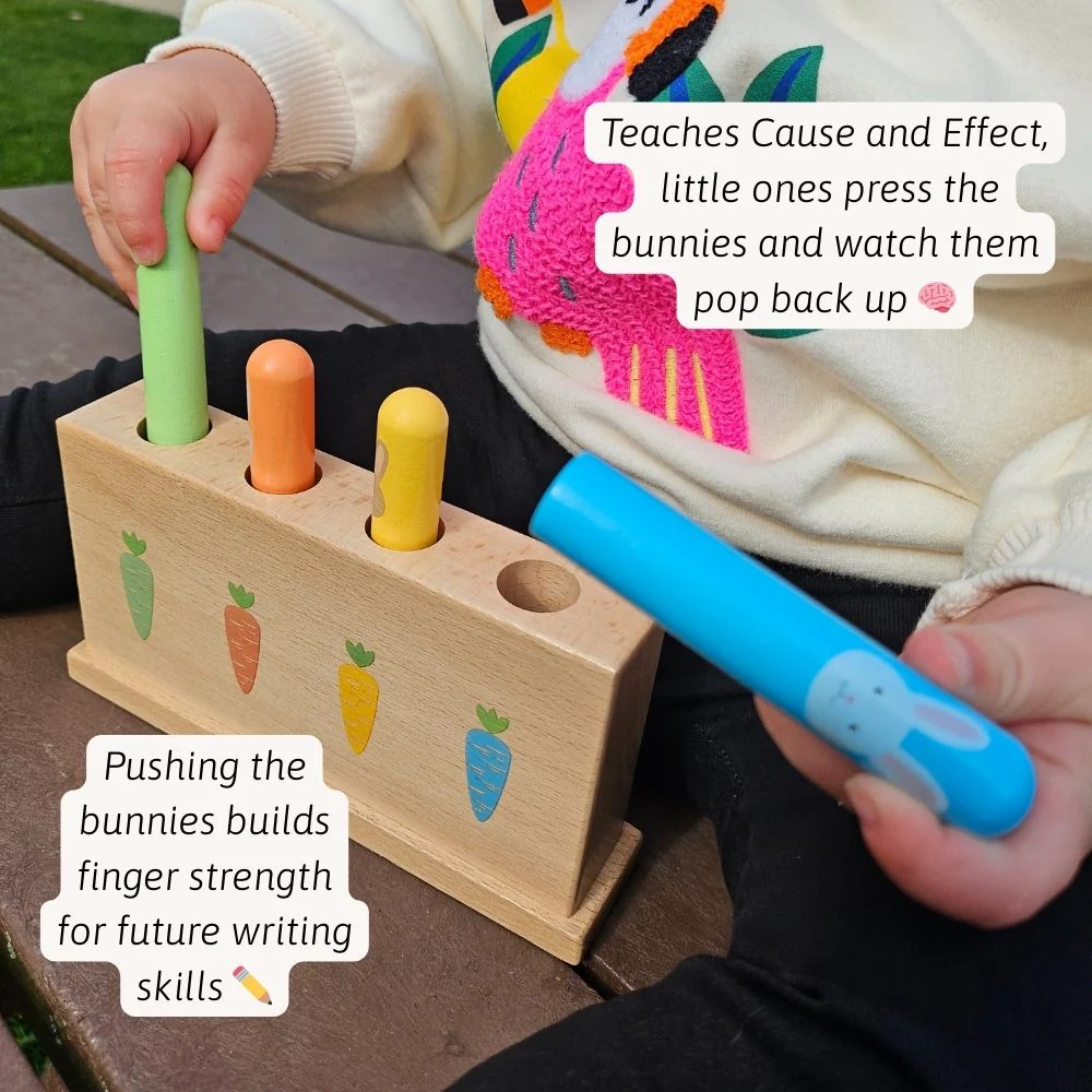 Bouncing Bunnies - Pop Up Toy - Image 3