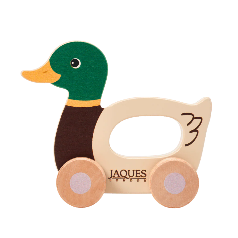 Dash The Duck Push Along Toy