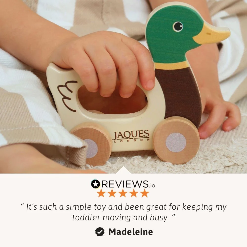 Dash The Duck Push Along Toy - Image 4