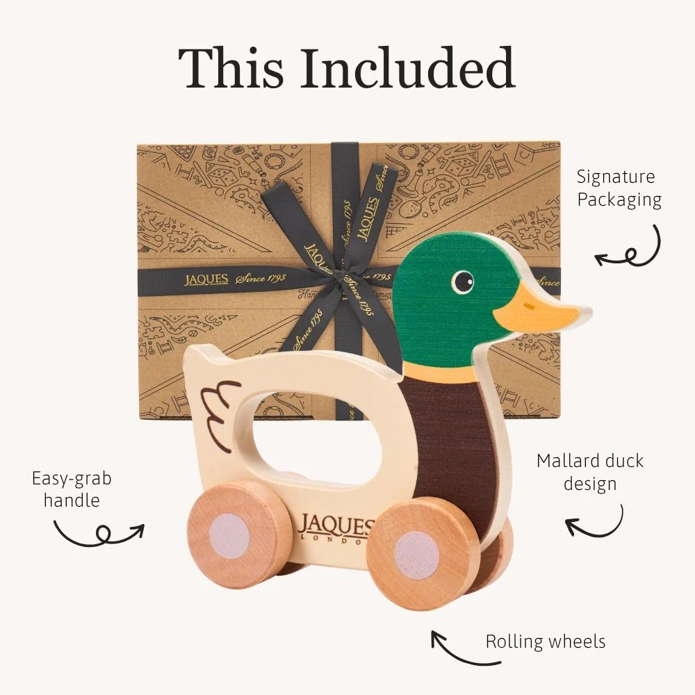 Dash The Duck Push Along Toy - Image 5