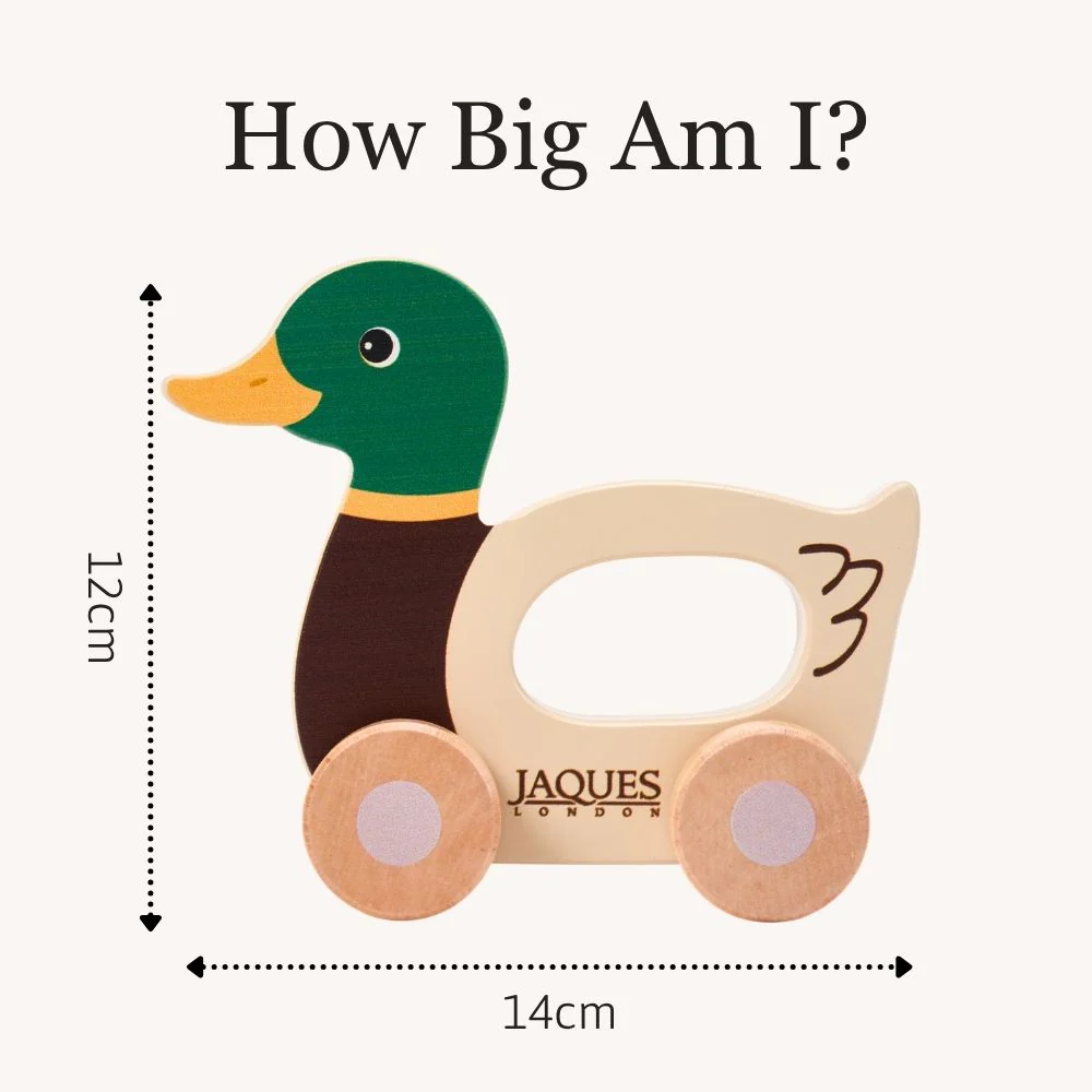 Dash The Duck Push Along Toy - Image 6