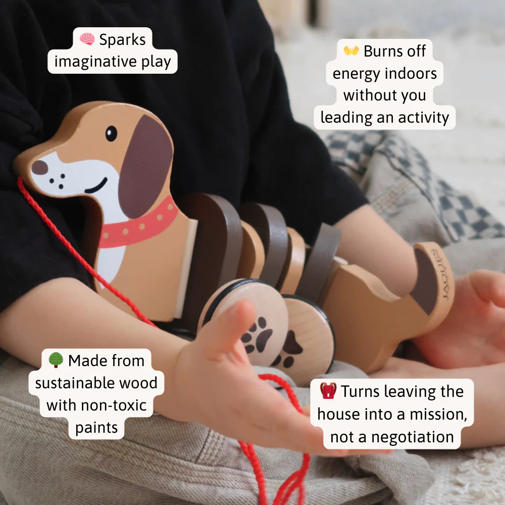 Dolly The Dachshund Pull Along Toy - Image 3