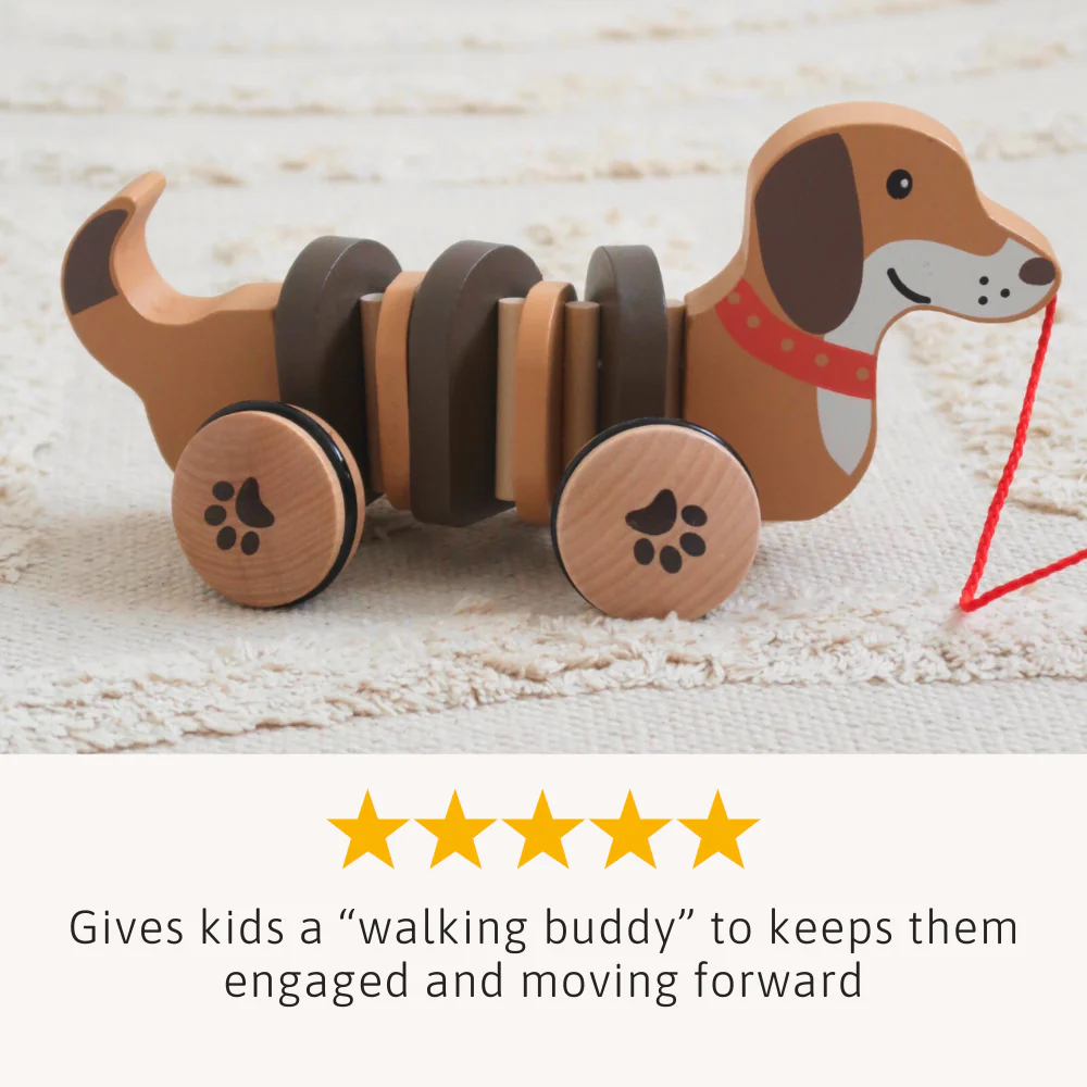 Dolly The Dachshund Pull Along Toy - Image 4