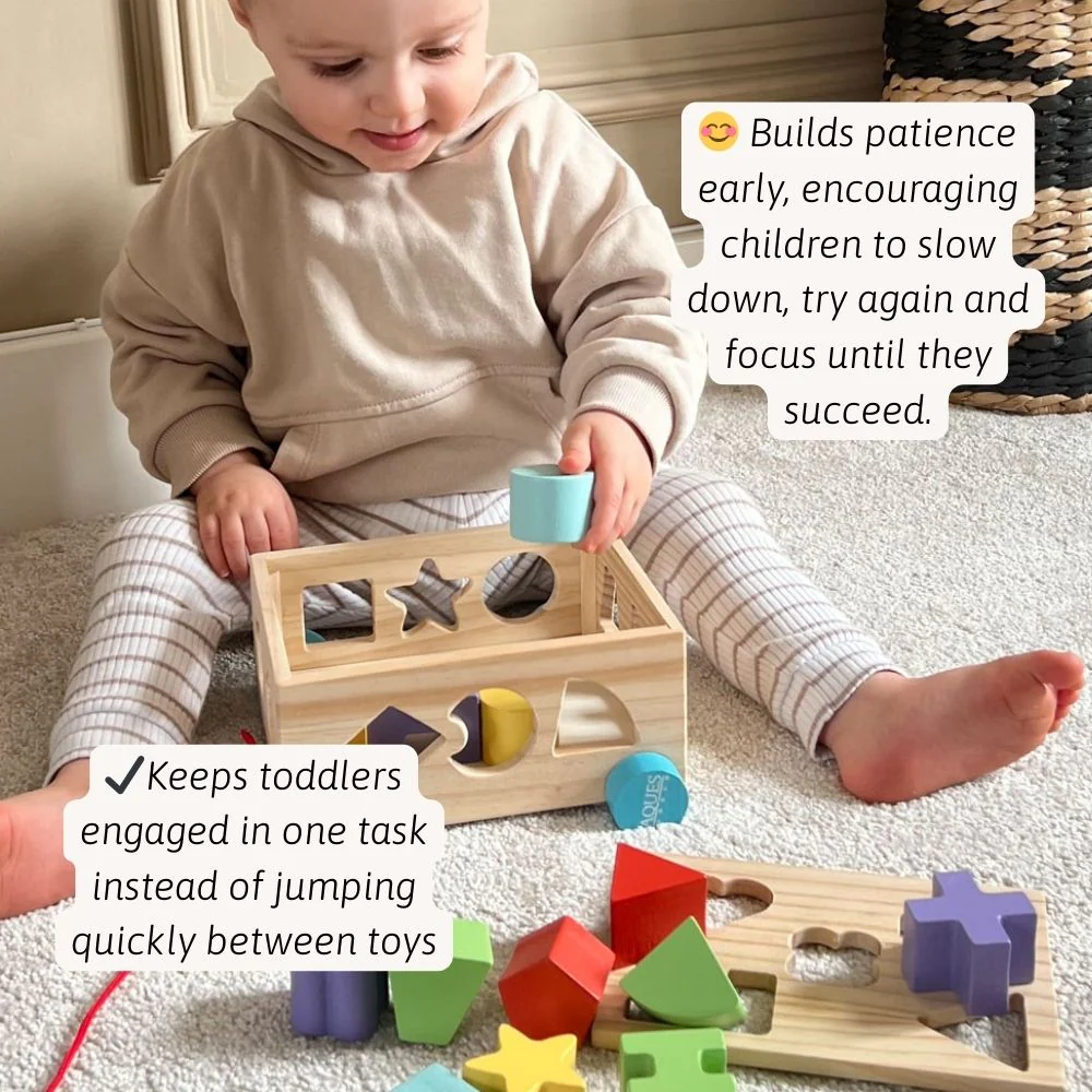 Shape Sorter - Shape Sorting Toy - Image 2
