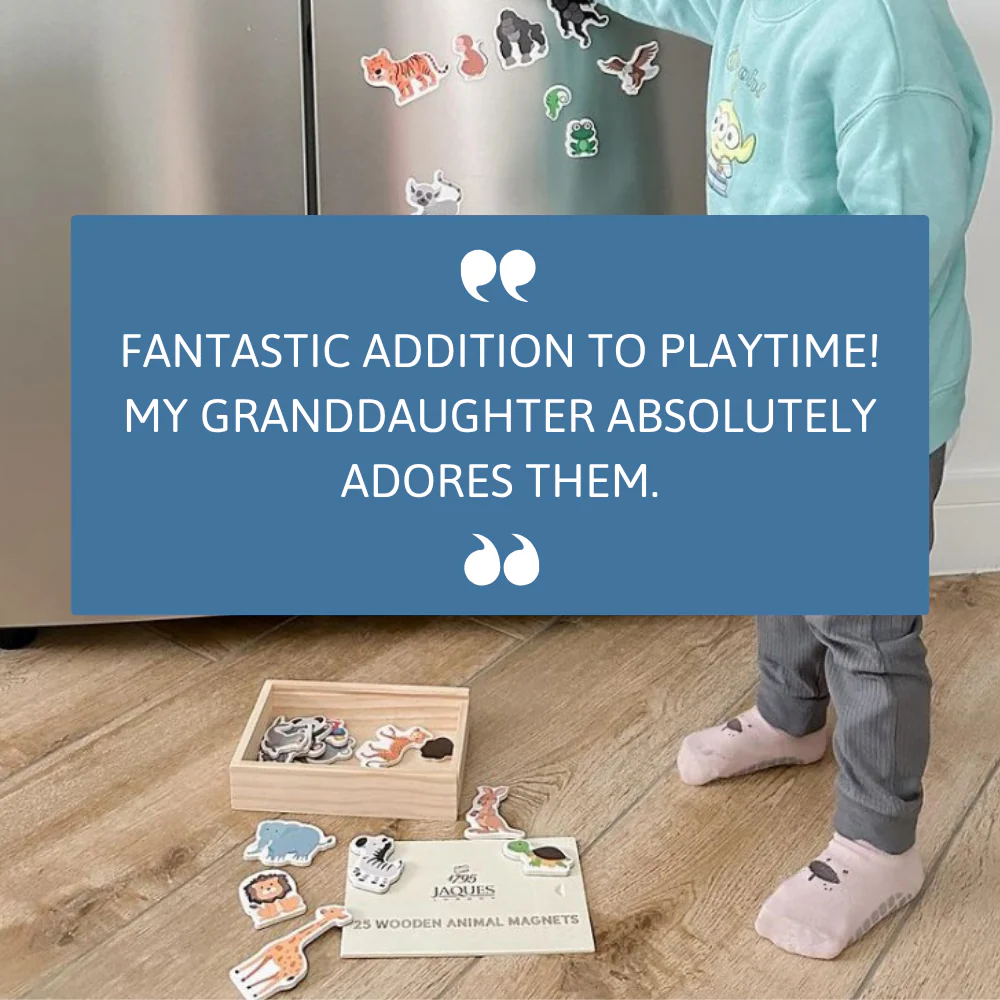 Magnetic Animals - Magnetic Toys for Kids - Image 5
