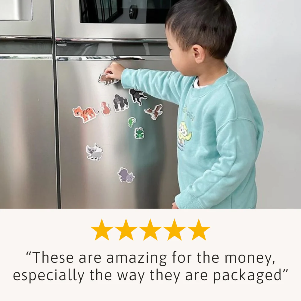 Magnetic Animals - Magnetic Toys for Kids - Image 6