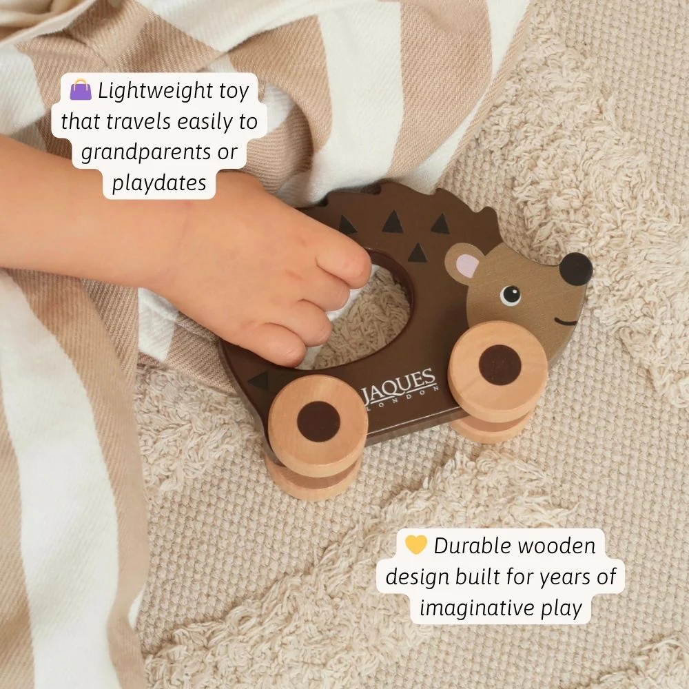 Prickles the Hedgehog - Push Along Toy - Image 3