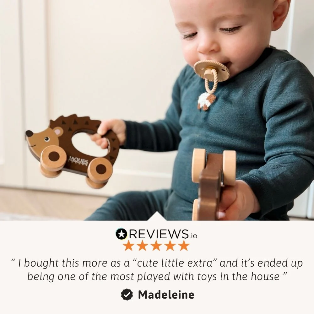 Prickles the Hedgehog - Push Along Toy - Image 4