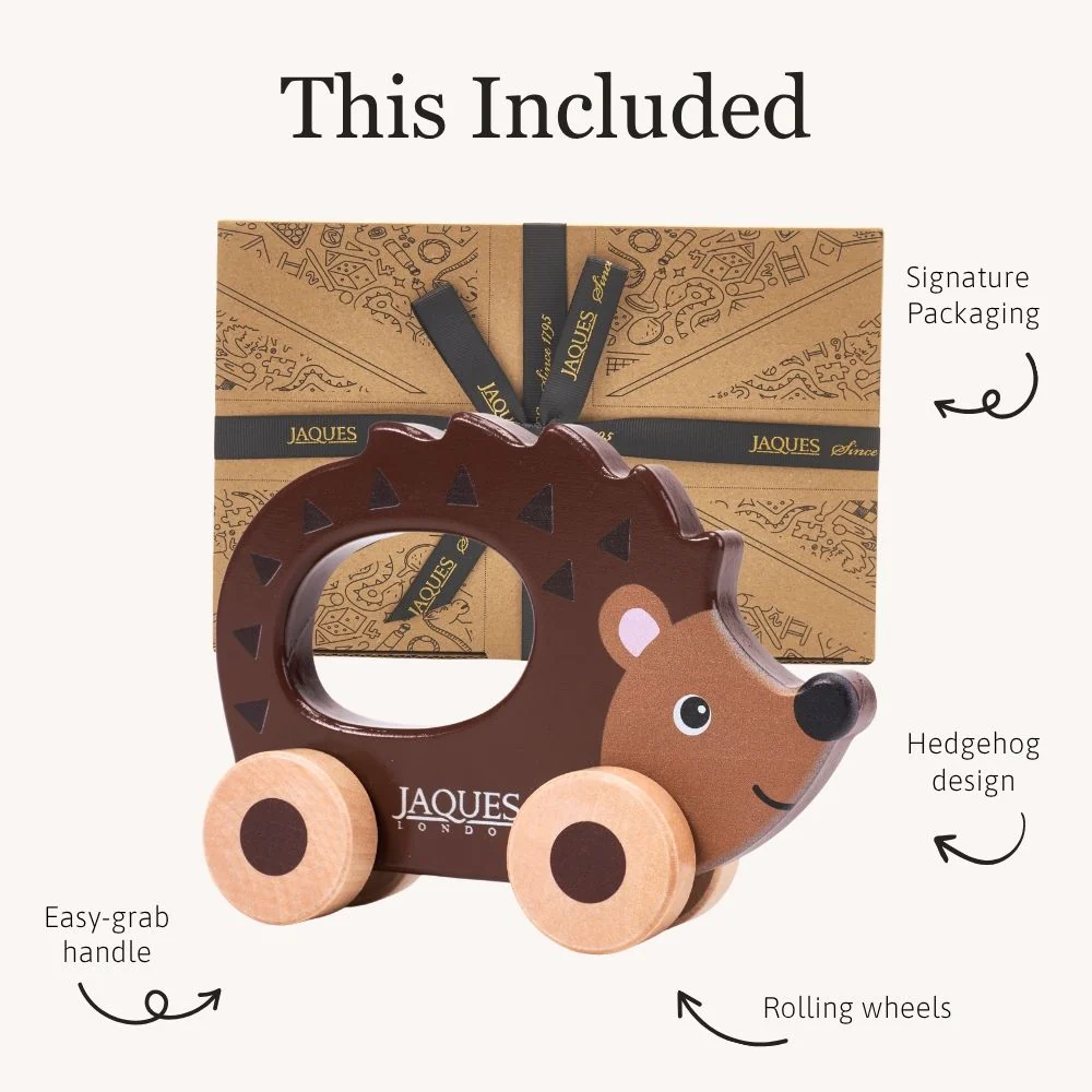 Prickles the Hedgehog - Push Along Toy - Image 5