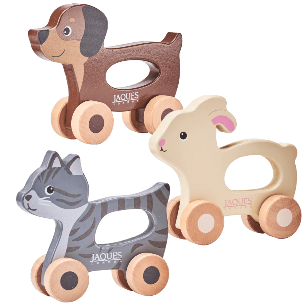 Push & Play Pet Set