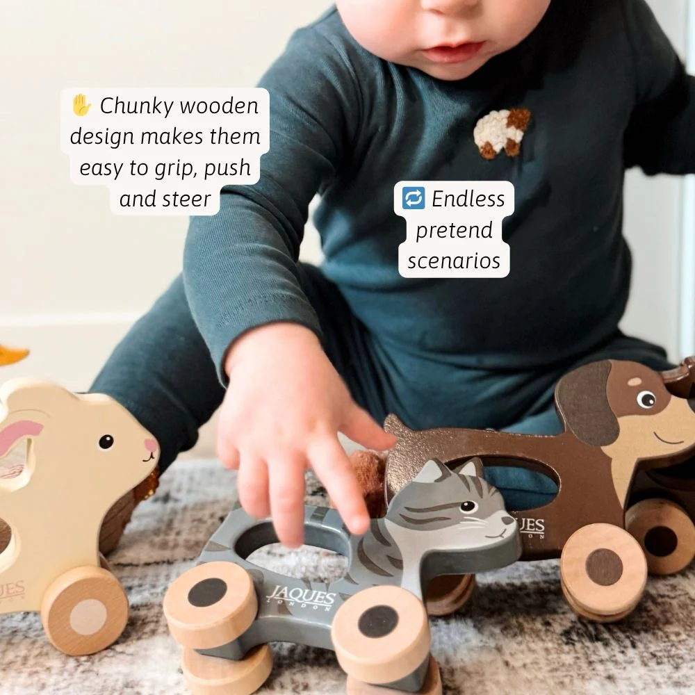 Push & Play Pet Set - Image 2