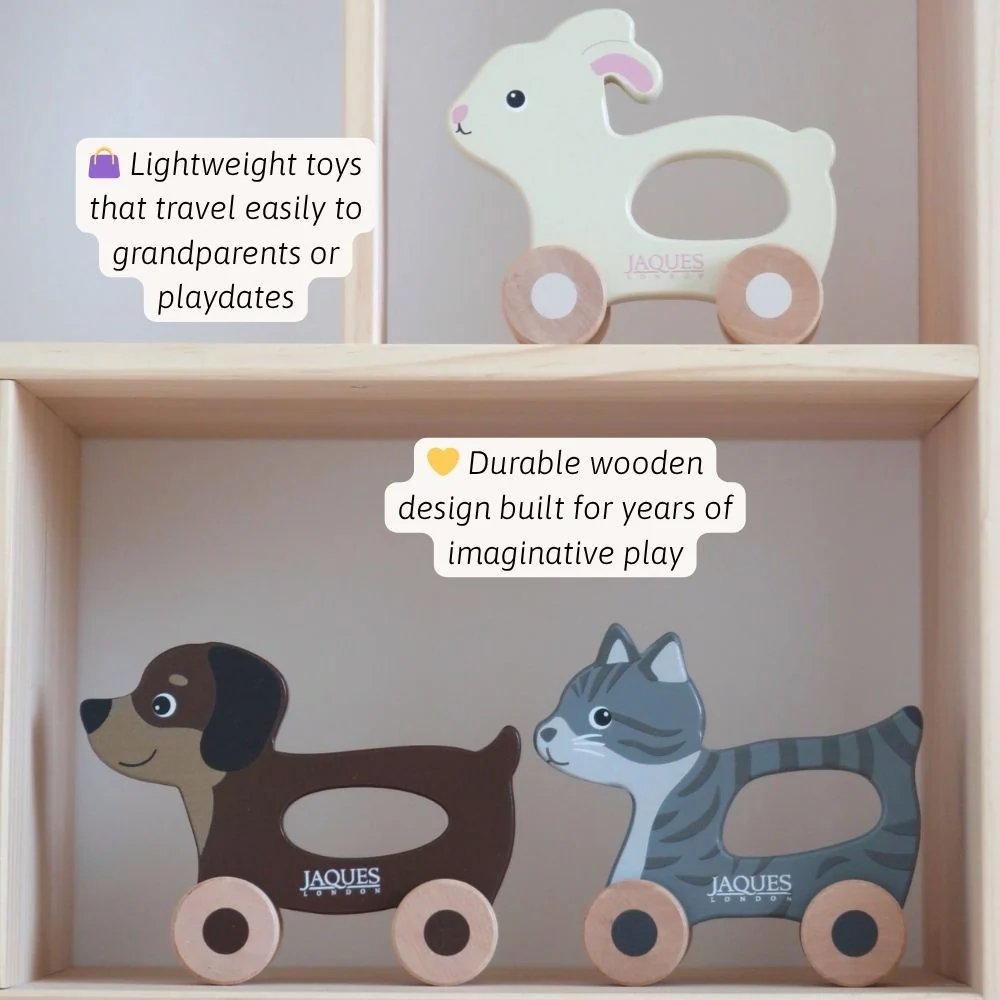 Push & Play Pet Set - Image 3