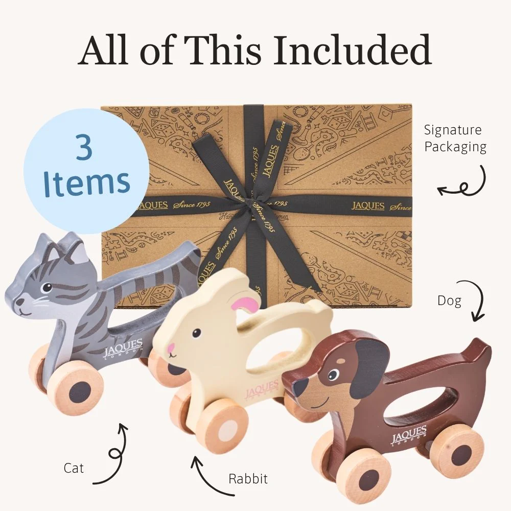 Push & Play Pet Set - Image 5