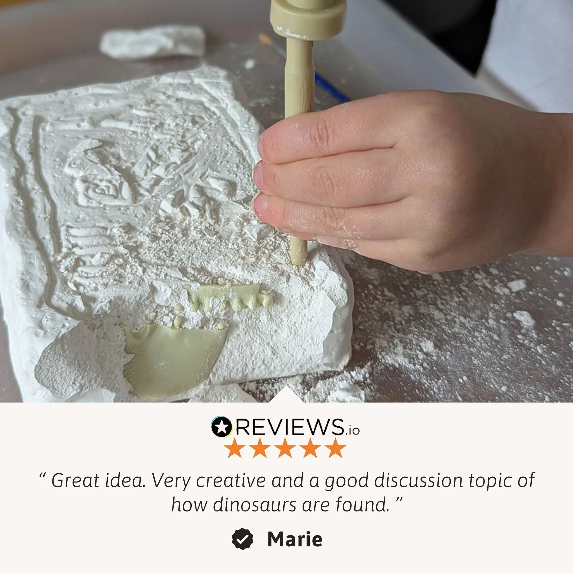 Triceratops Fossil Dig Kit - Image 4
